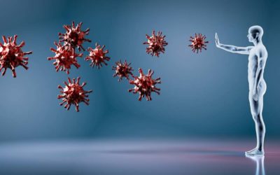 Posibles intervenciones para los nuevos coronavirus en China: una revisión sistemática